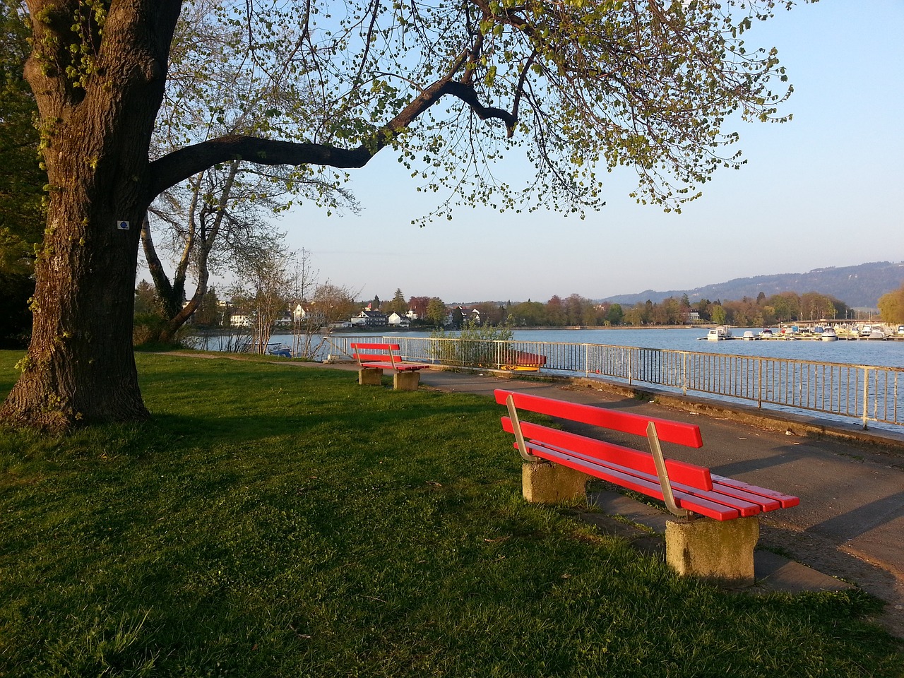 英超的冠军 英超的冠军