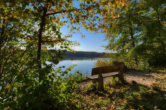 比利时前锋 比利时前锋