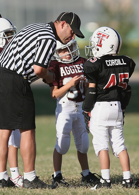 包括使用人 包括使用人