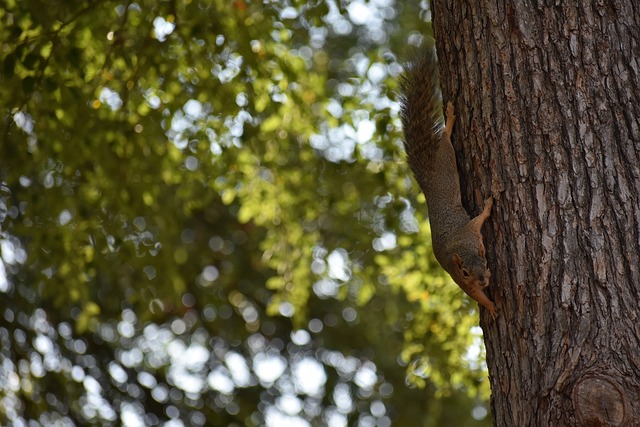 这或许能帮 这或许能帮