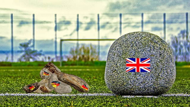 这对中国足 这对中国足