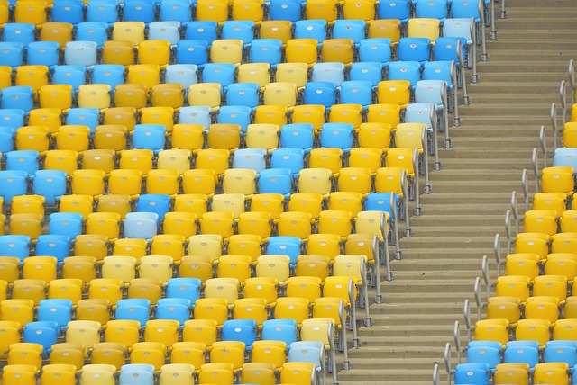 球迷中引起 球迷中引起